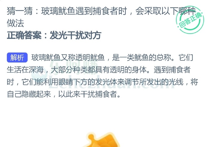 玻璃鱿鱼遇到捕食者时,会采取以下哪种做法?