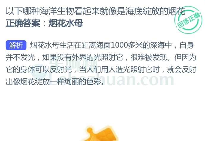 以下哪种海洋生物看起来就像是海底绽放的烟花?