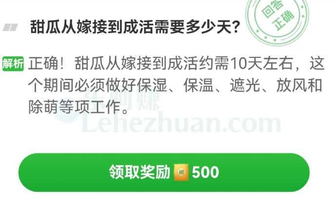 甜瓜从嫁接到成活需要多少天?