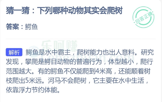 下列哪种动物其实会爬树?