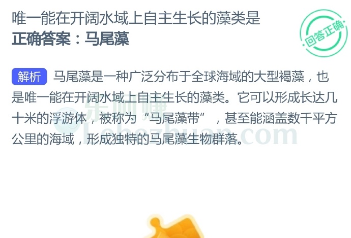 唯一能在开阔水域上自主生长的藻类是?