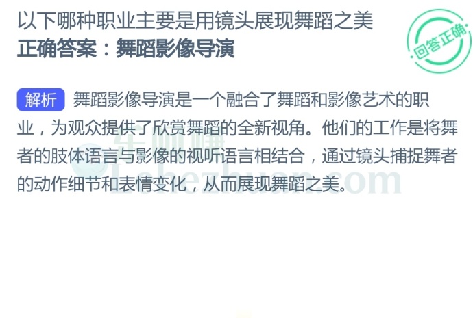 以下哪种职业主要是用镜头展现舞蹈之美?