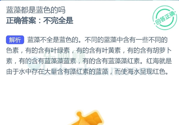 蓝藻都是蓝色的吗?