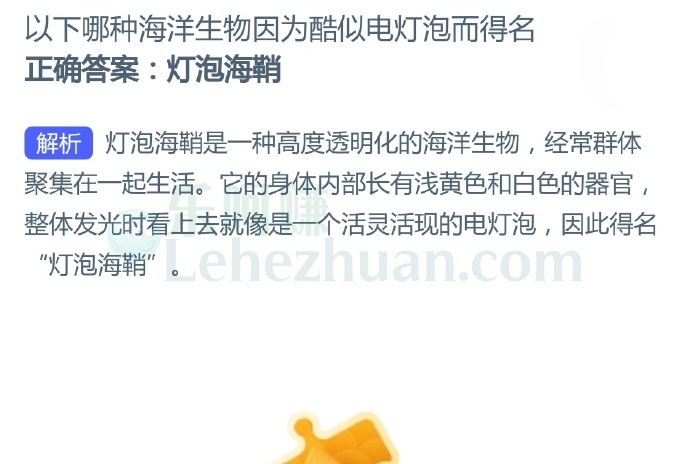 以下哪种海洋生物因为酷似电灯泡而得名?