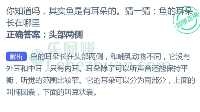 你知道吗,其实鱼是有耳朵的,猜一猜鱼的耳朵长在哪里?