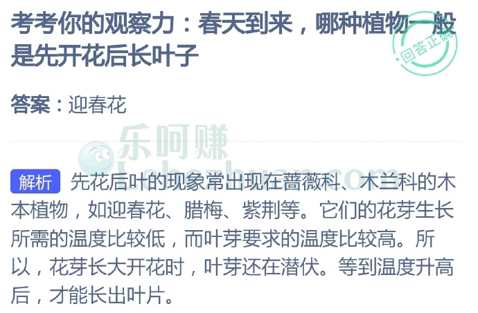 考考你的观察力,春天到来,哪种植物一般是先开花后长叶子?