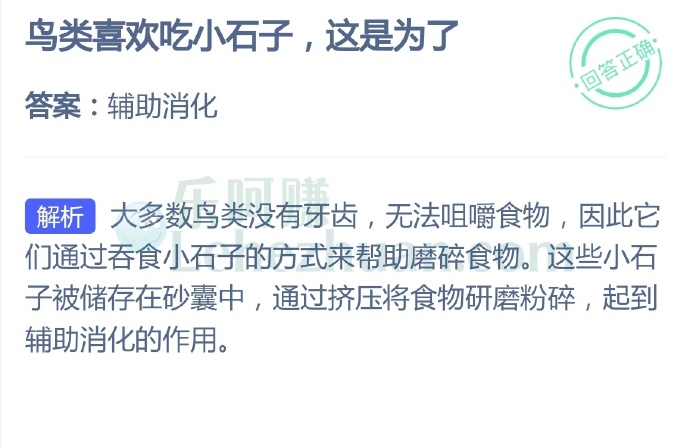 鸟类喜欢吃小石子,这是为了?