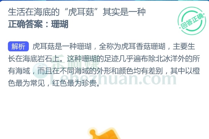 生活在海底的“虎耳菇”其实是一种?