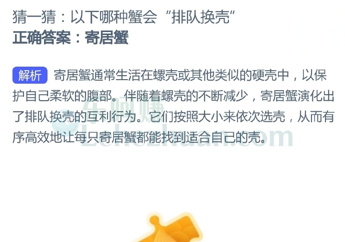 以下哪种蟹会“排队换壳”?