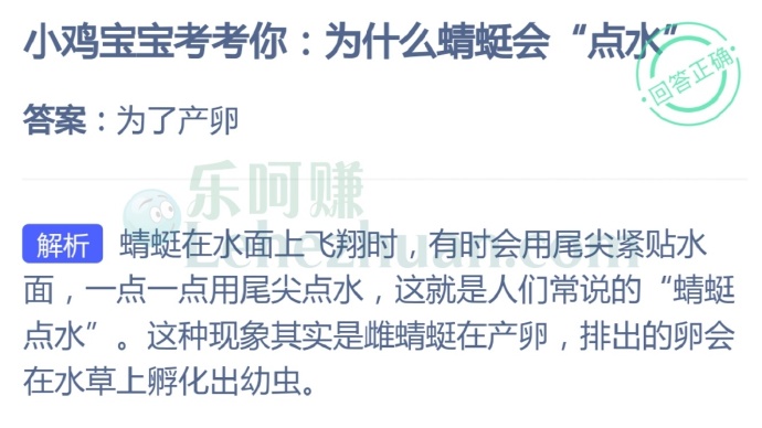 为什么蜻蜓会“点水”?
