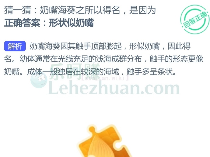 奶嘴海葵之所以得名是因为?