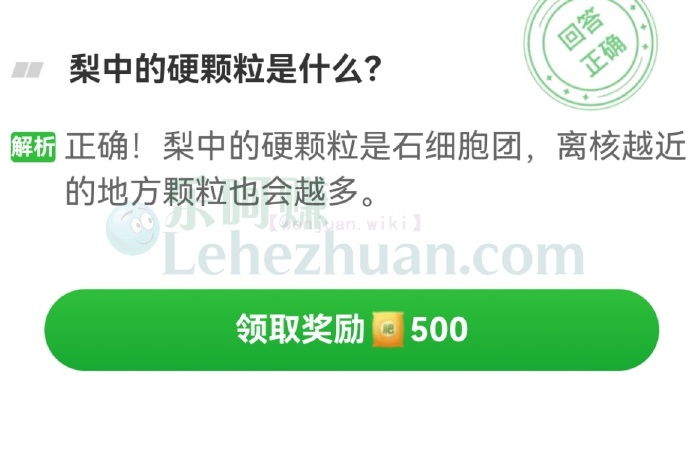 梨中的硬颗粒是什么?