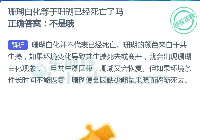 珊瑚白化等于珊瑚已经死亡了吗?