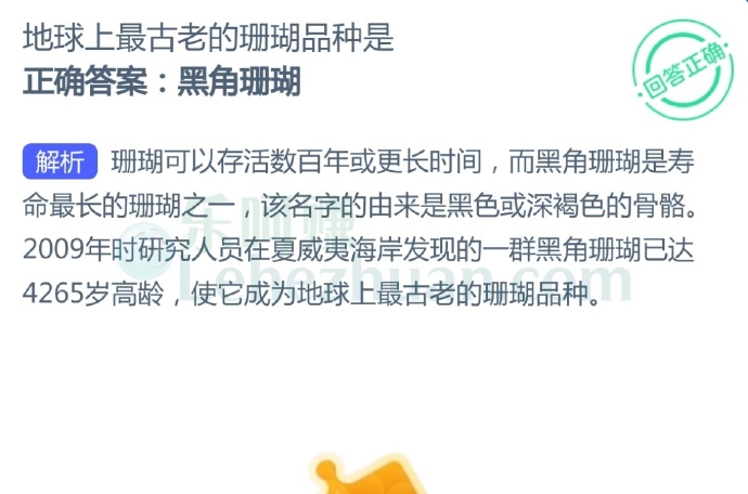 地球上最古老的珊瑚品种是?