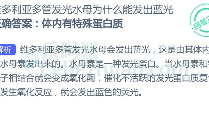 维多利亚多管发光水母为什么能发出蓝光?