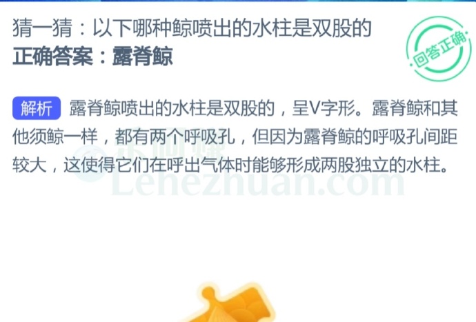 以下哪种鲸喷出的水柱是双股的?