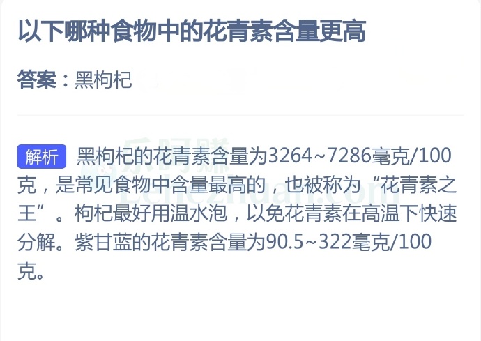 以下哪种食物中的花青素含量更高?