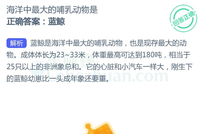 海洋中最大的哺乳动物是?