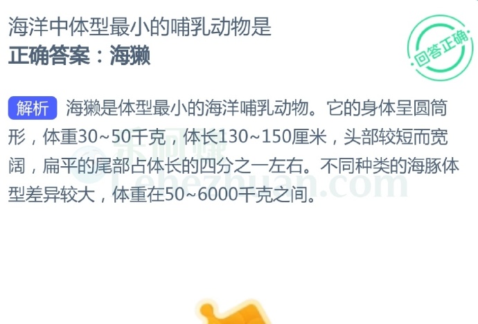 海洋中体型最小的哺乳动物是?