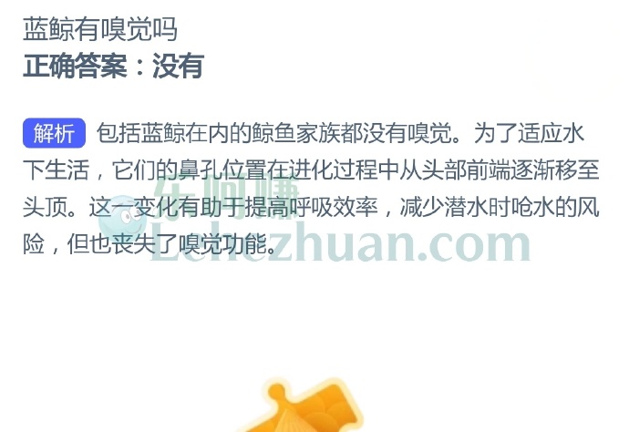 蓝鲸有嗅觉吗?