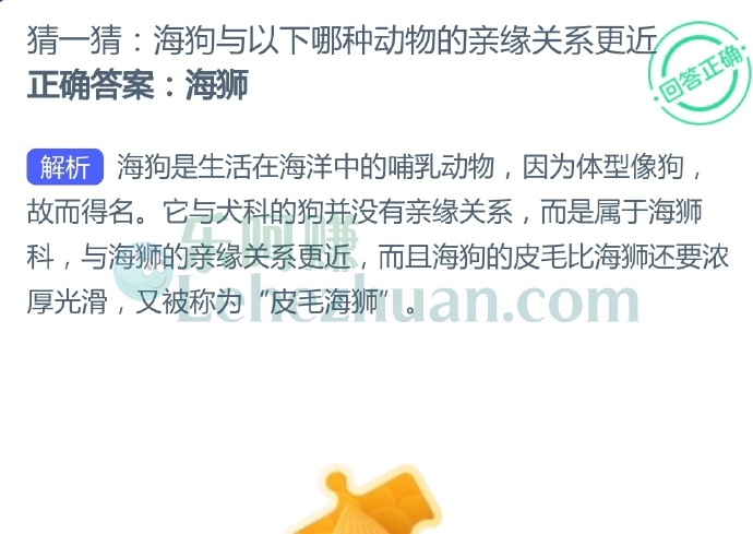 海狗与以下哪种动物的亲缘关系更近?