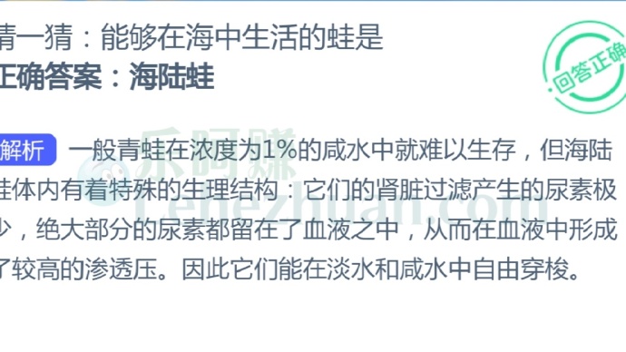 能够在海中生活的蛙是?