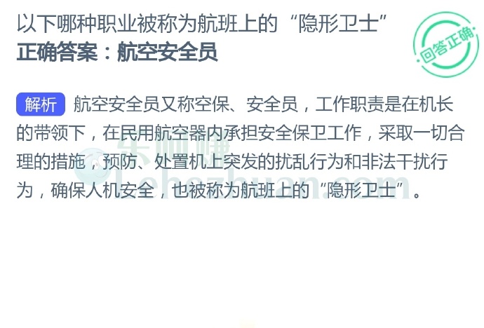 以下哪种职业被称为航班上的“隐形卫士”?