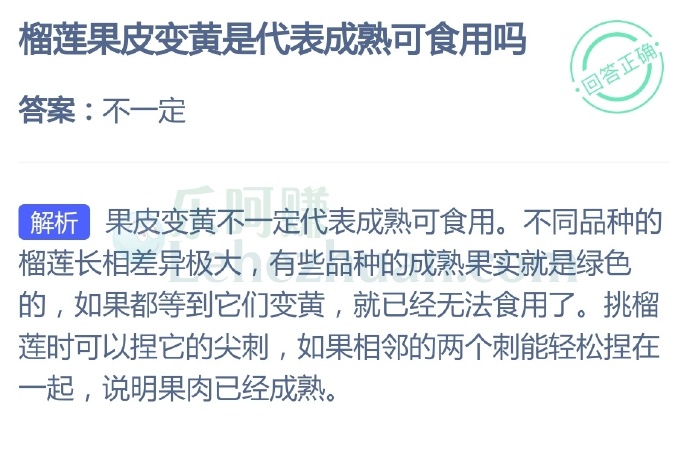 榴莲果皮变黄是代表成熟可食用吗?