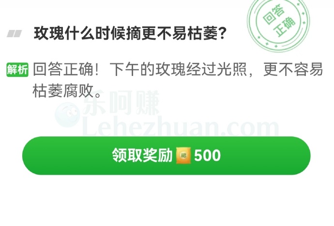 玫瑰什么时候摘更不易枯萎?