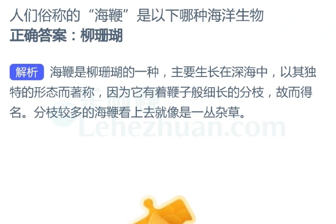 人们俗称的“海鞭”是以下哪种海洋生物?