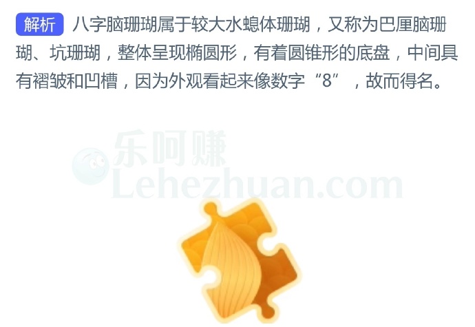 “八字脑珊瑚”之所以得名,是因为?