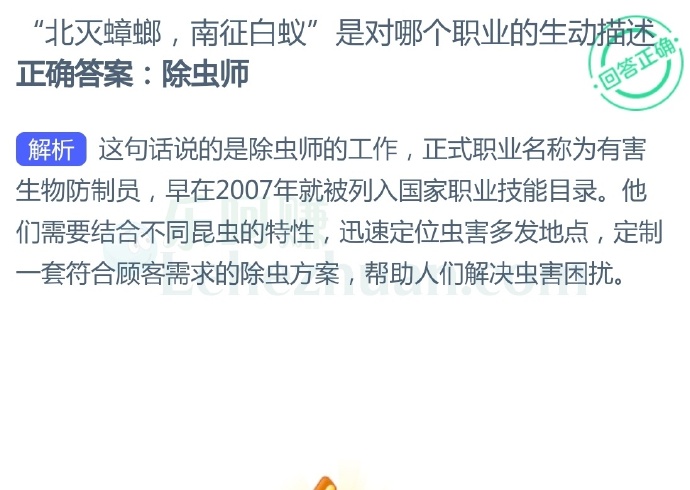 “北灭蟑螂,南征白蚁”是对哪个职业的生动描述?