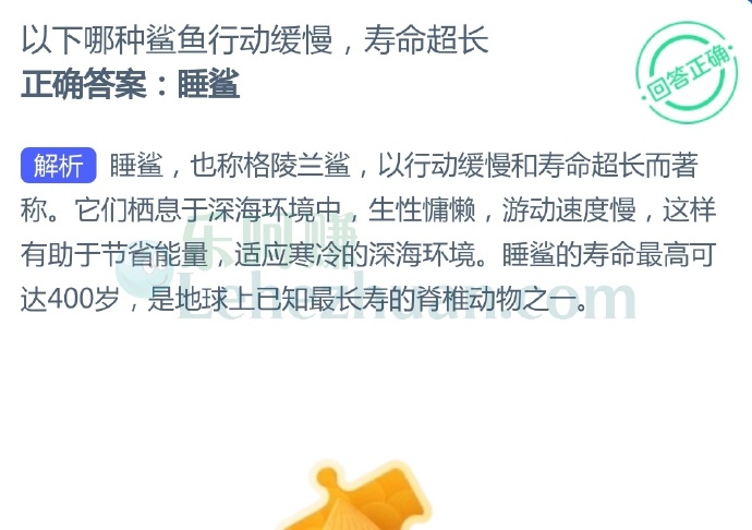 以下哪种鲨鱼行动缓慢,寿命超长?