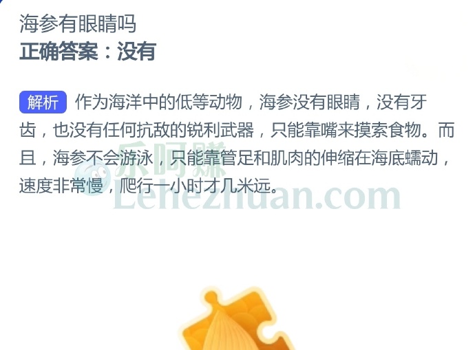 海参有眼睛吗?