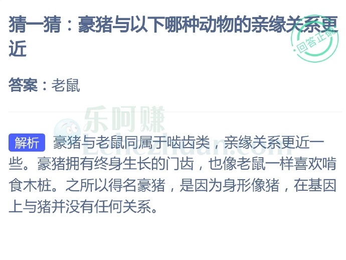 豪猪与以下哪种动物的亲缘关系更近?