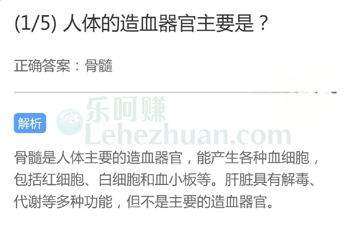 人体的造血器官主要是?