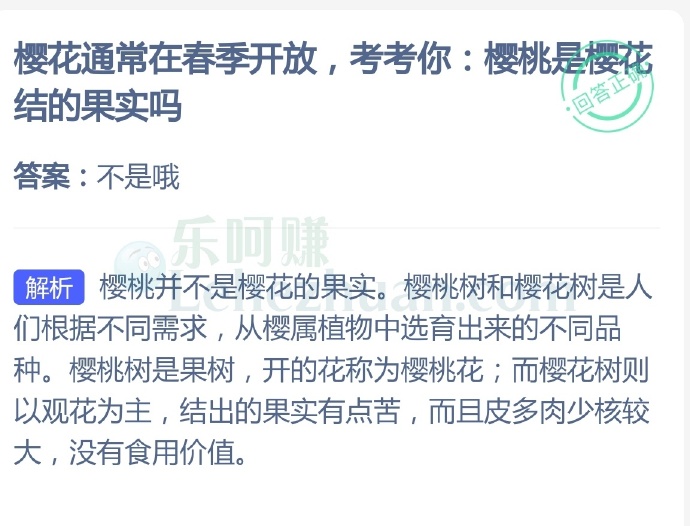 樱桃是樱花结的果实吗?