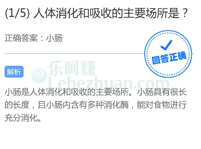 人体消化和吸收的主要场所是?