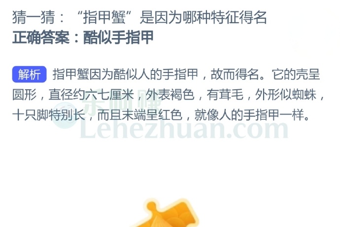 “指甲蟹”是因为哪种特征得名?
