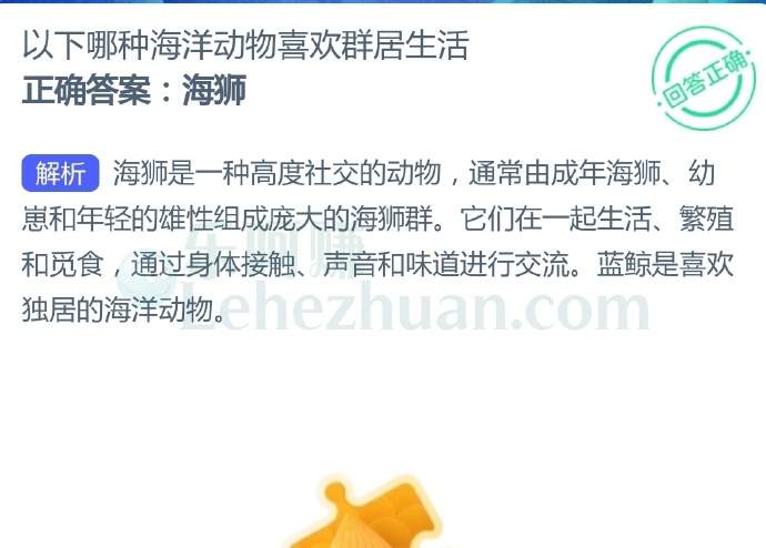 以下哪种海洋动物喜欢群居生活?