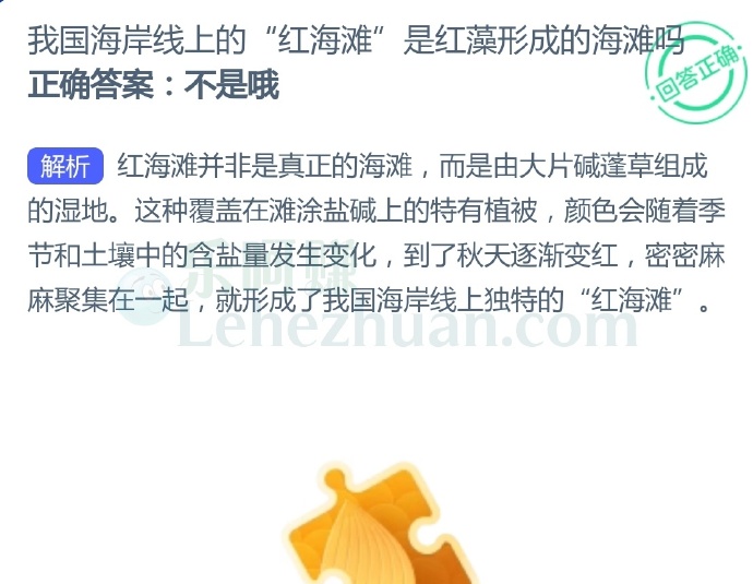 我国海岸线上的“红海滩”是红藻形成的海滩吗?
