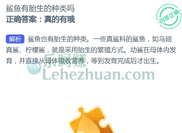 鲨鱼有胎生的种类吗?