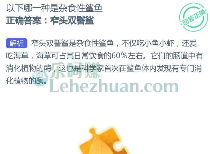 以下哪一种是杂食性鲨鱼?