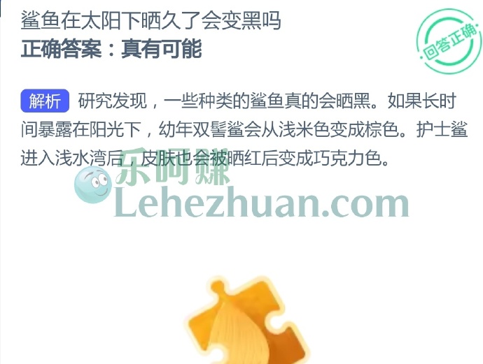鲨鱼在太阳下晒久了会变黑吗?