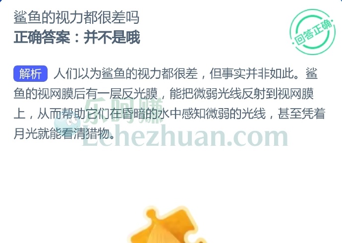 鲨鱼的视力都很差吗?