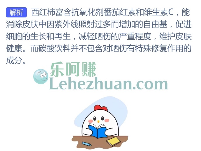 以下哪种食物富含抗氧化剂,有助于缓解晒伤?