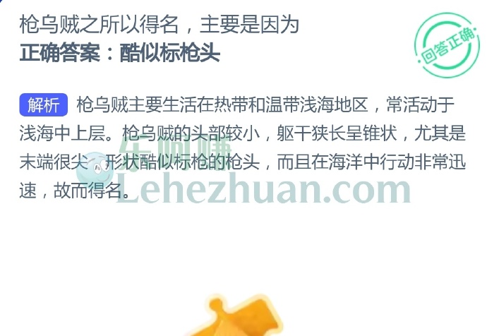 枪乌贼之所以得名,主要是因为?