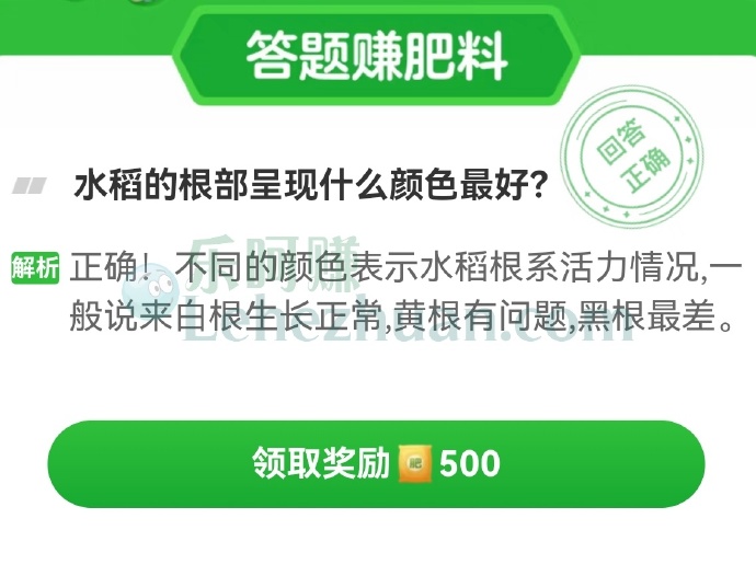 水稻的根部呈现什么颜色最好?