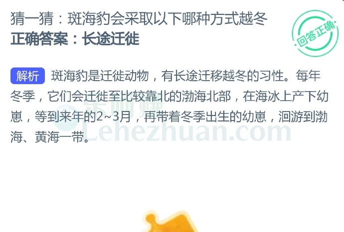 斑海豹会采取以下哪种方式越冬?