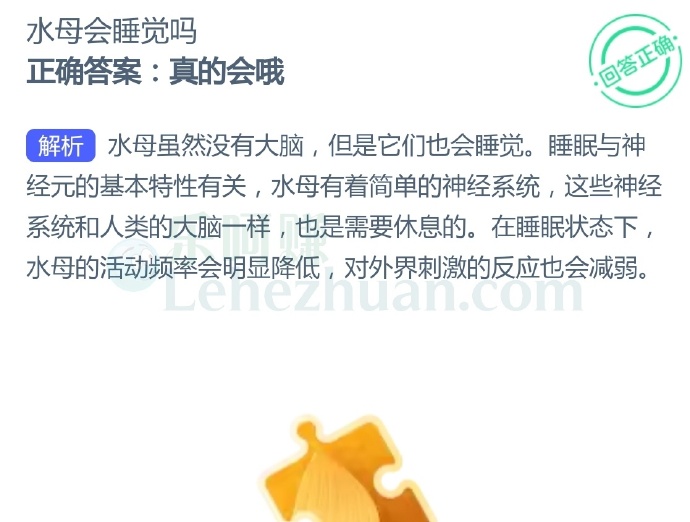 水母会睡觉吗?